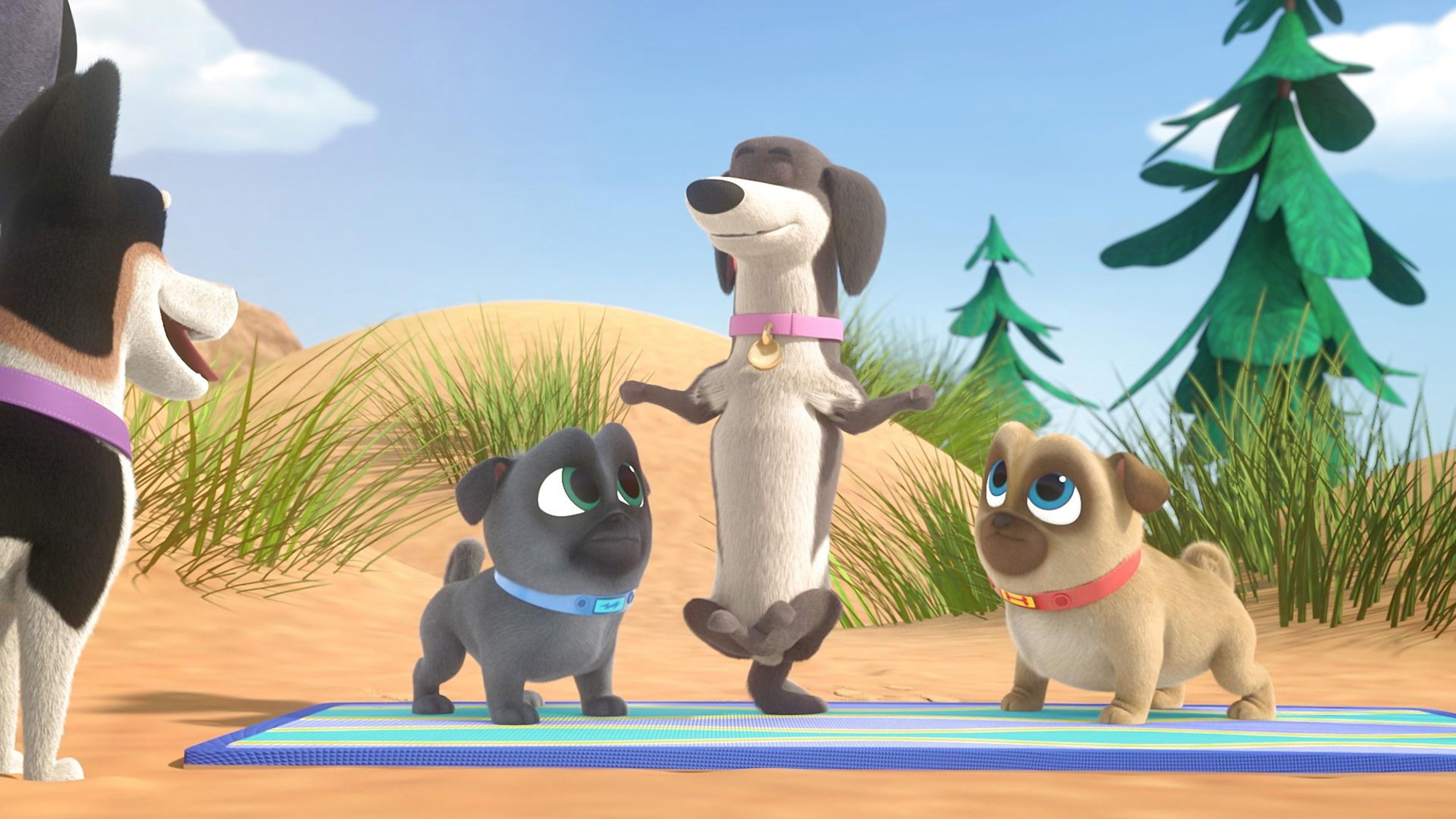 Puppy Dog Pals 2019  [S03E09] - Chin Up, Pups