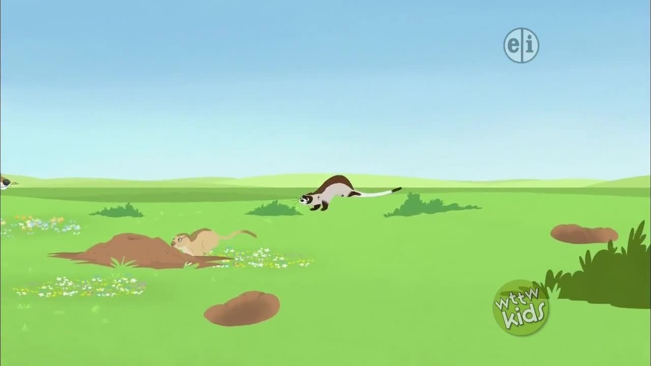 Wild Kratts 2014  [S03E10] - Mystery on the Prarie