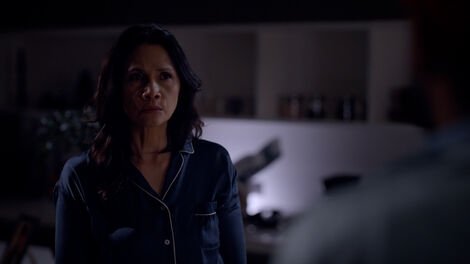 Incognito 2025  [S01E45] - Compadre