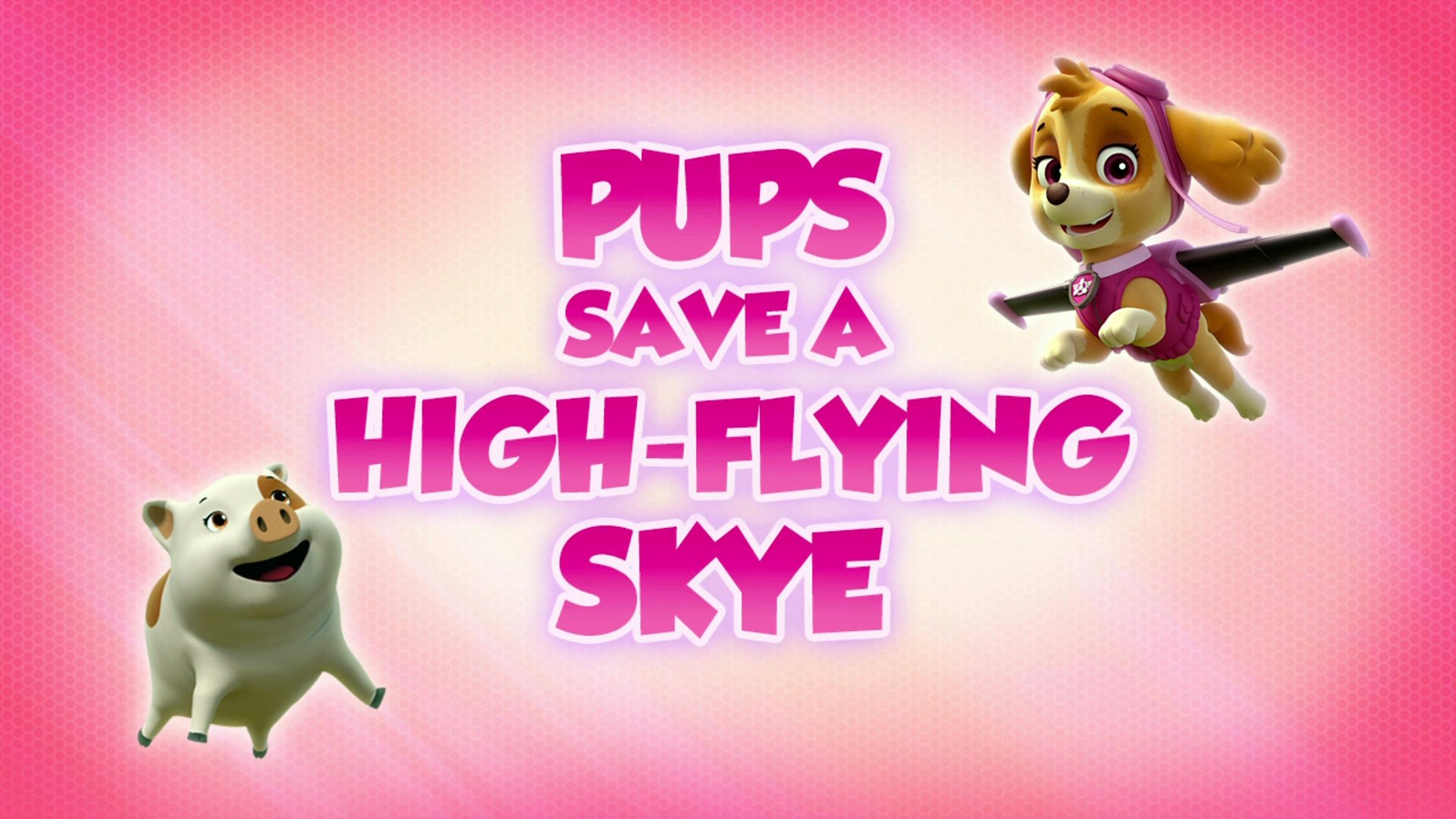 PAW Patrol 2018  [S05E09] - Pups Save a High-Flying Skye