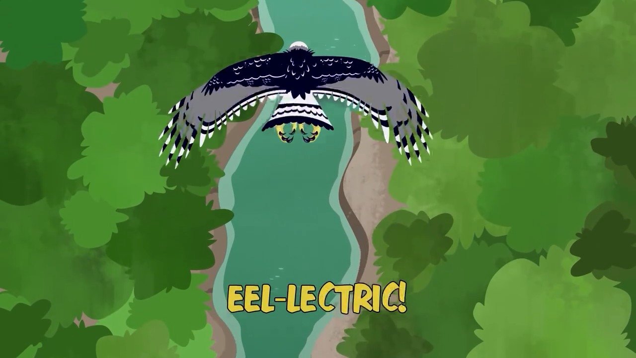 Wild Kratts 2016  [S04E18] - Eel-lectric!