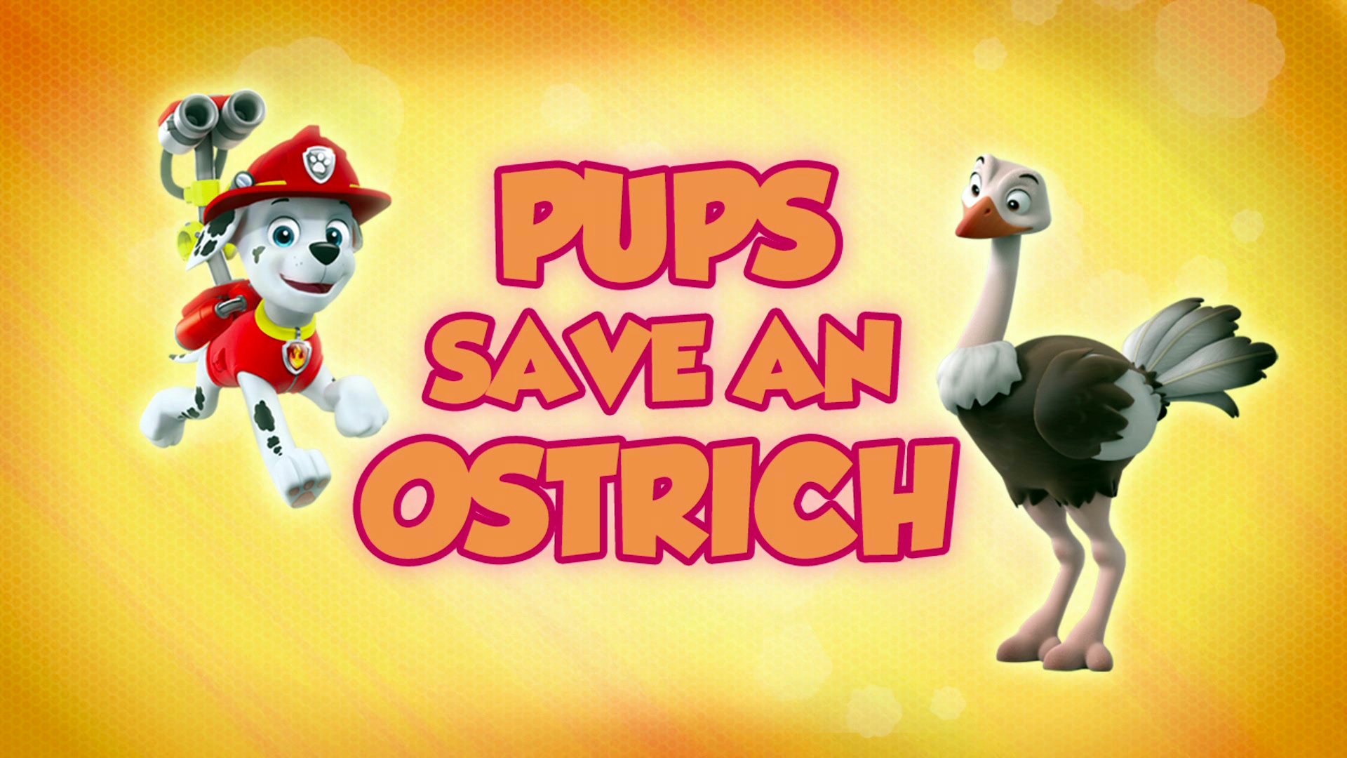 PAW Patrol 2018  [S05E02] - Pups Save an Ostrich