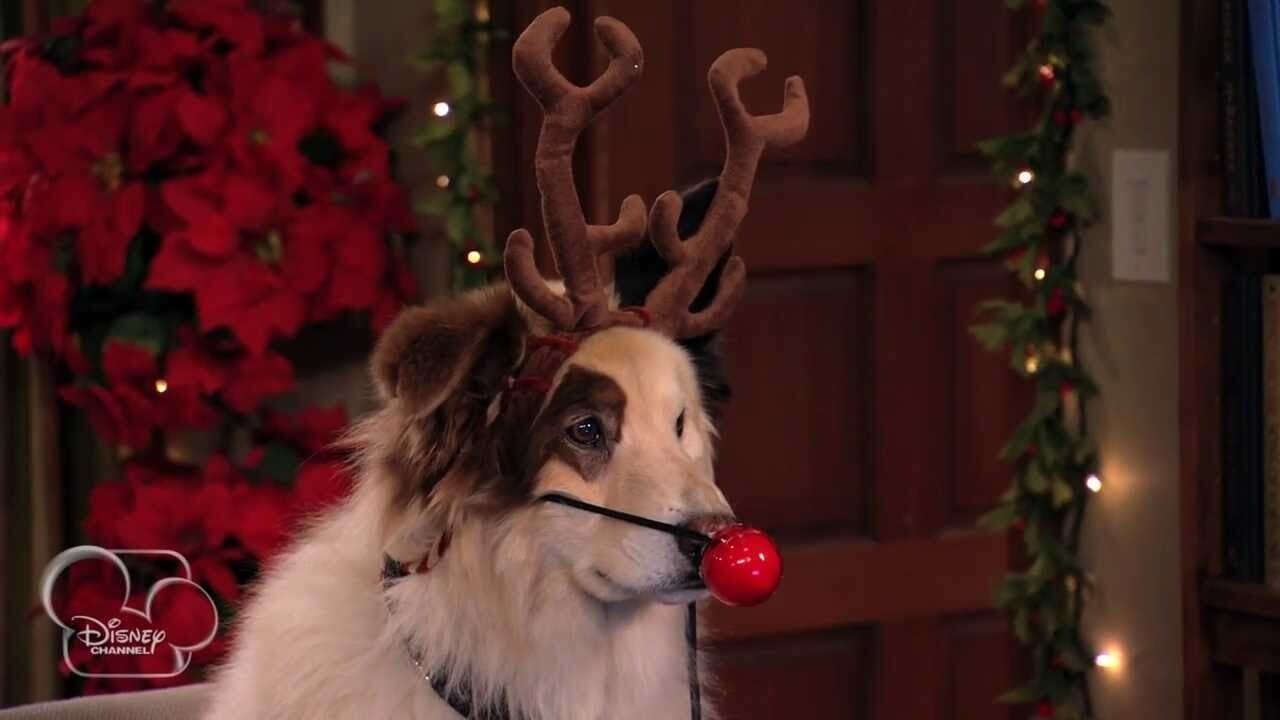 Dog with a Blog 2012  [S01E06] - Bark! the Herald Angels Sing