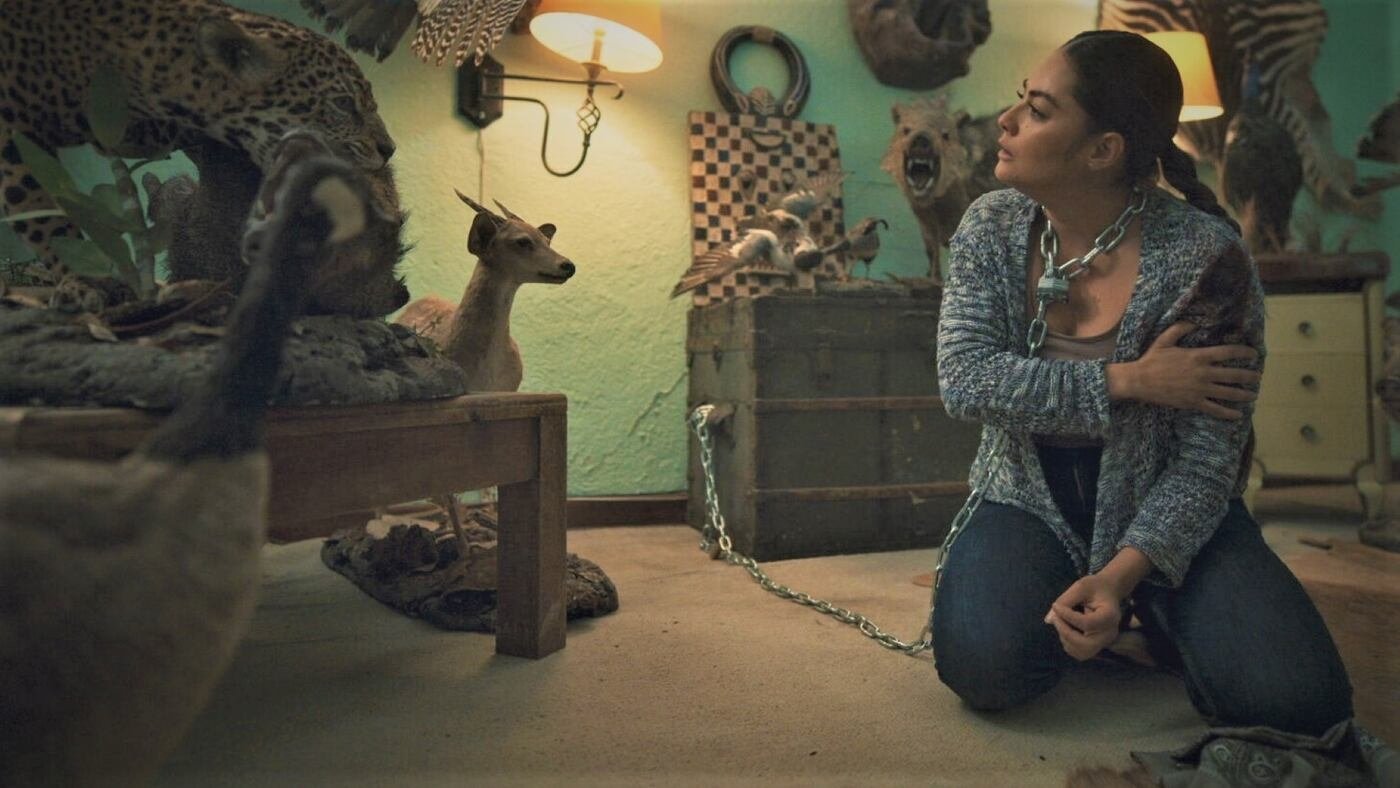 El Señor de los Cielos 2023  [S08E84] - Episode 84