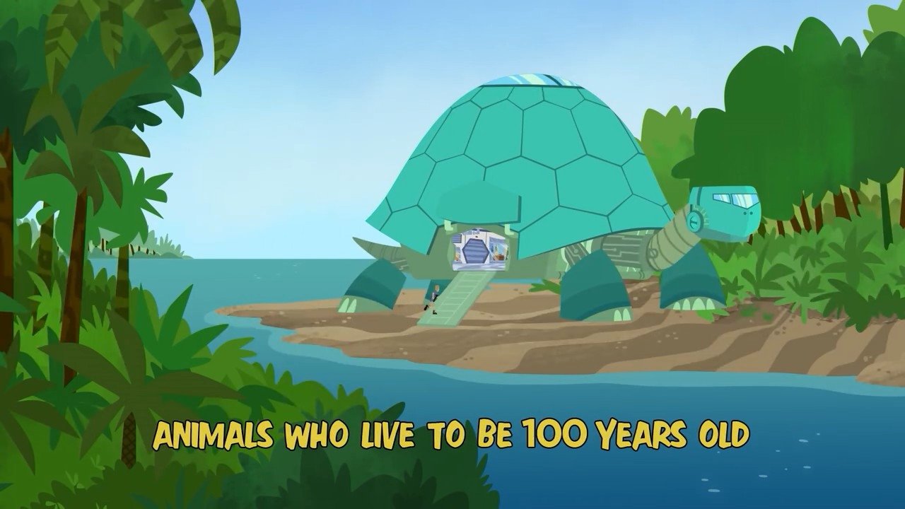 Wild Kratts 2016  [S04E06] - Animals Who Live to Be 100 Years Old
