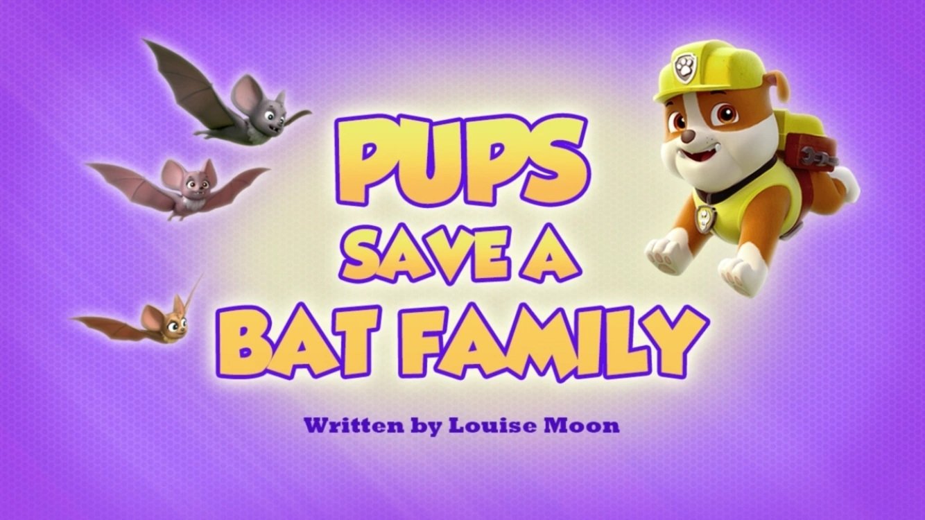 PAW Patrol 2019  [S06E25] - Pups Save a Bat Family