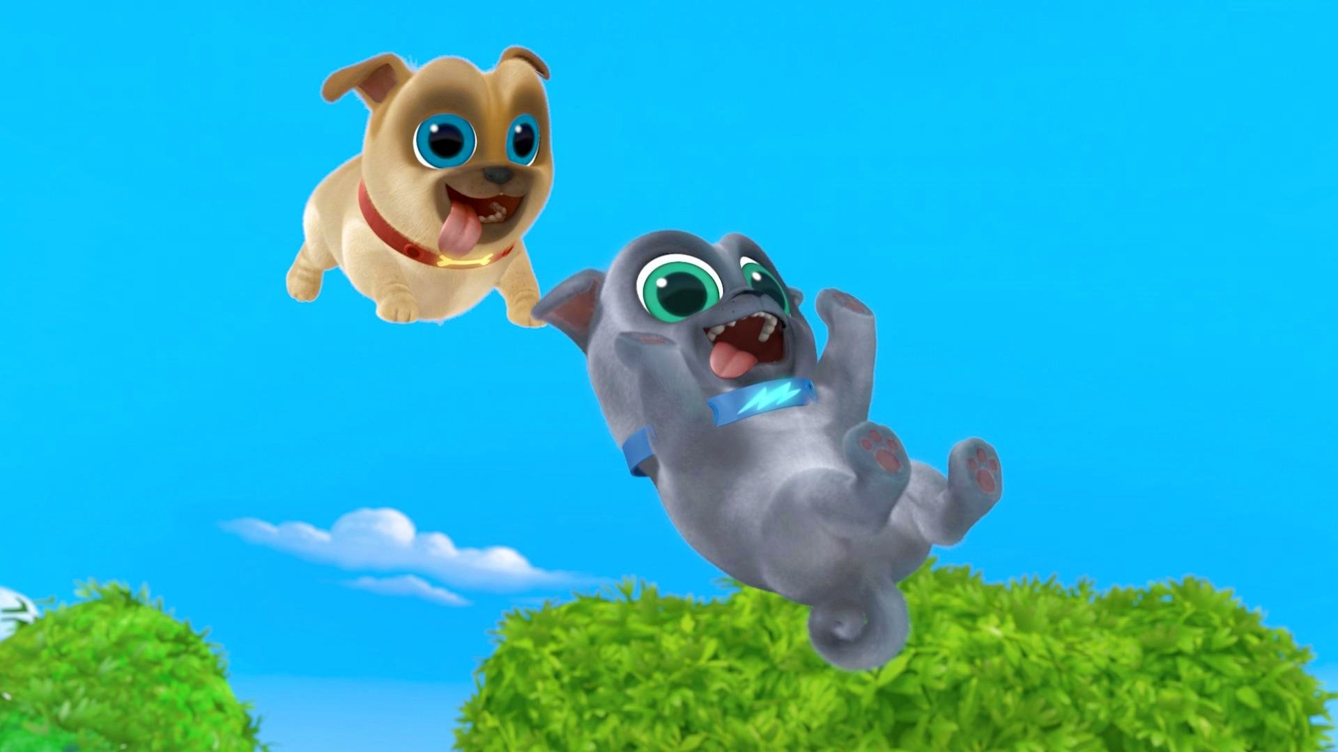 Puppy Dog Pals 2018  [S02E27] - Cousin Cody