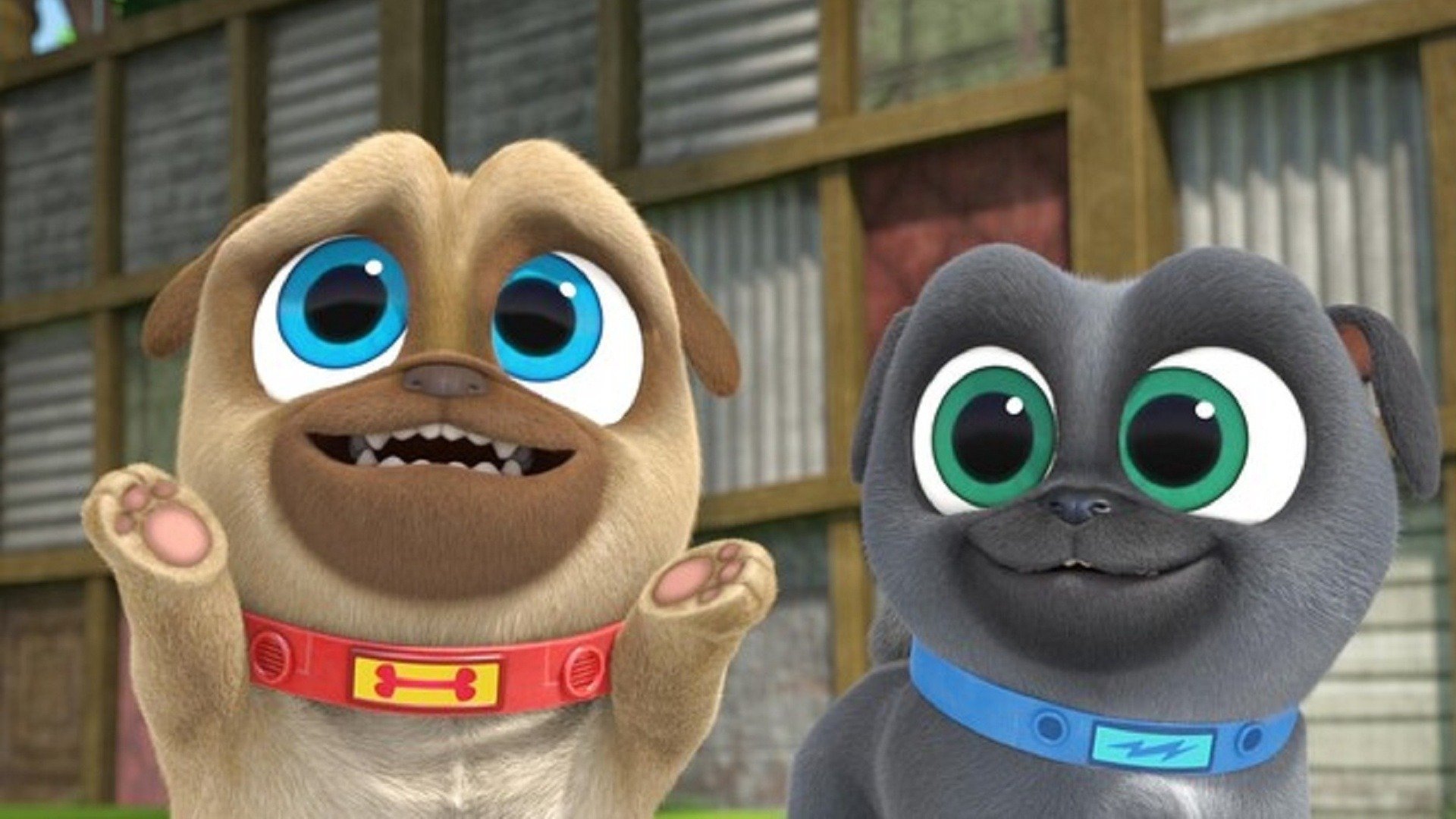 Puppy Dog Pals 2022  [S05E18] - A Very Taddy Birthday