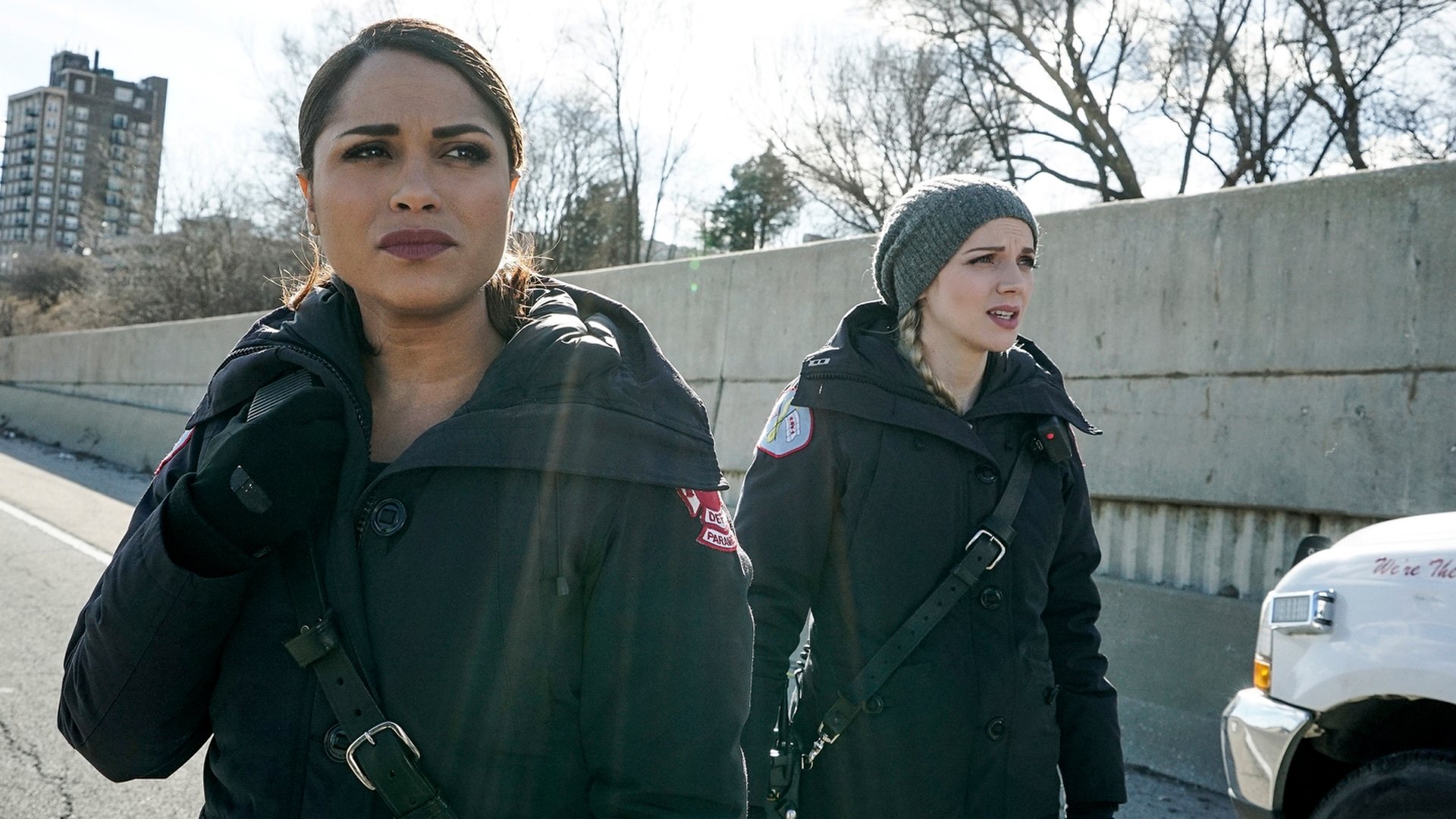 Chicago Fire 2016  [S05E17] - Babies and Fools