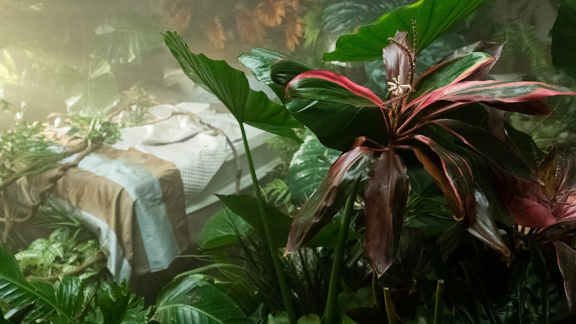 Room 104 2019  [S03E12] - The Specimen Collector