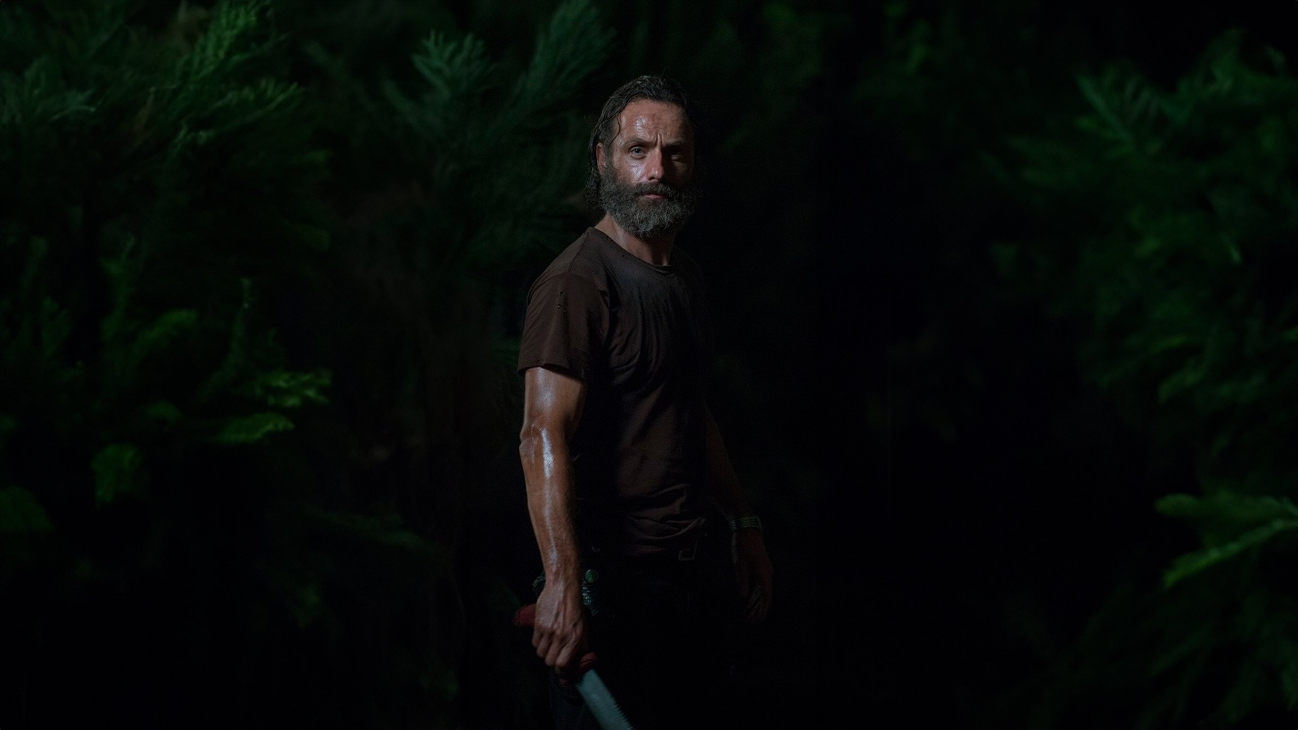 The Walking Dead 2014  [S05E11] - The Distance