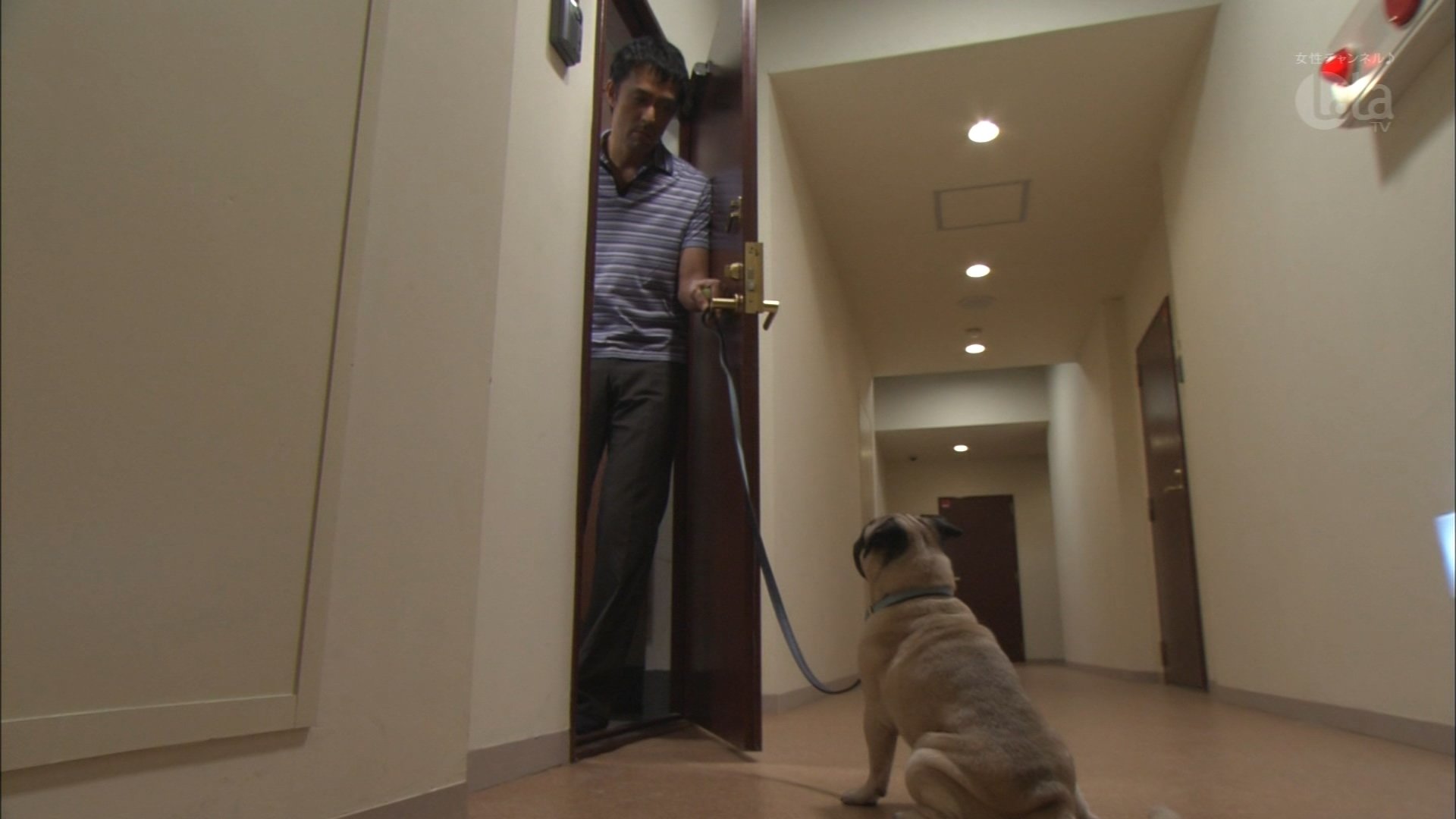He Who Can't Marry 2006  [S01E08] - So What If I Hate Dogs?!