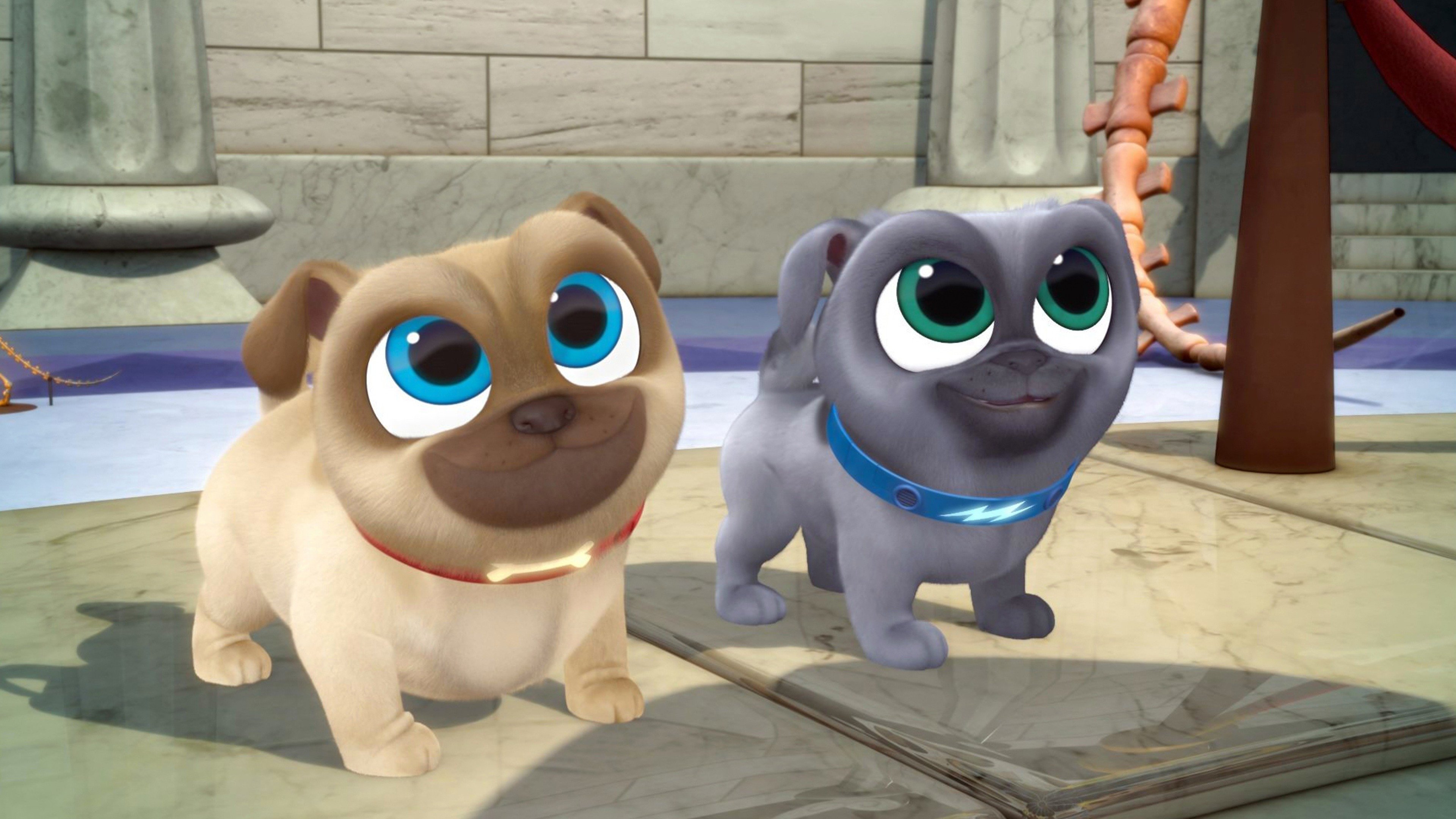 Puppy Dog Pals 2018  [S02E17] - Windy City