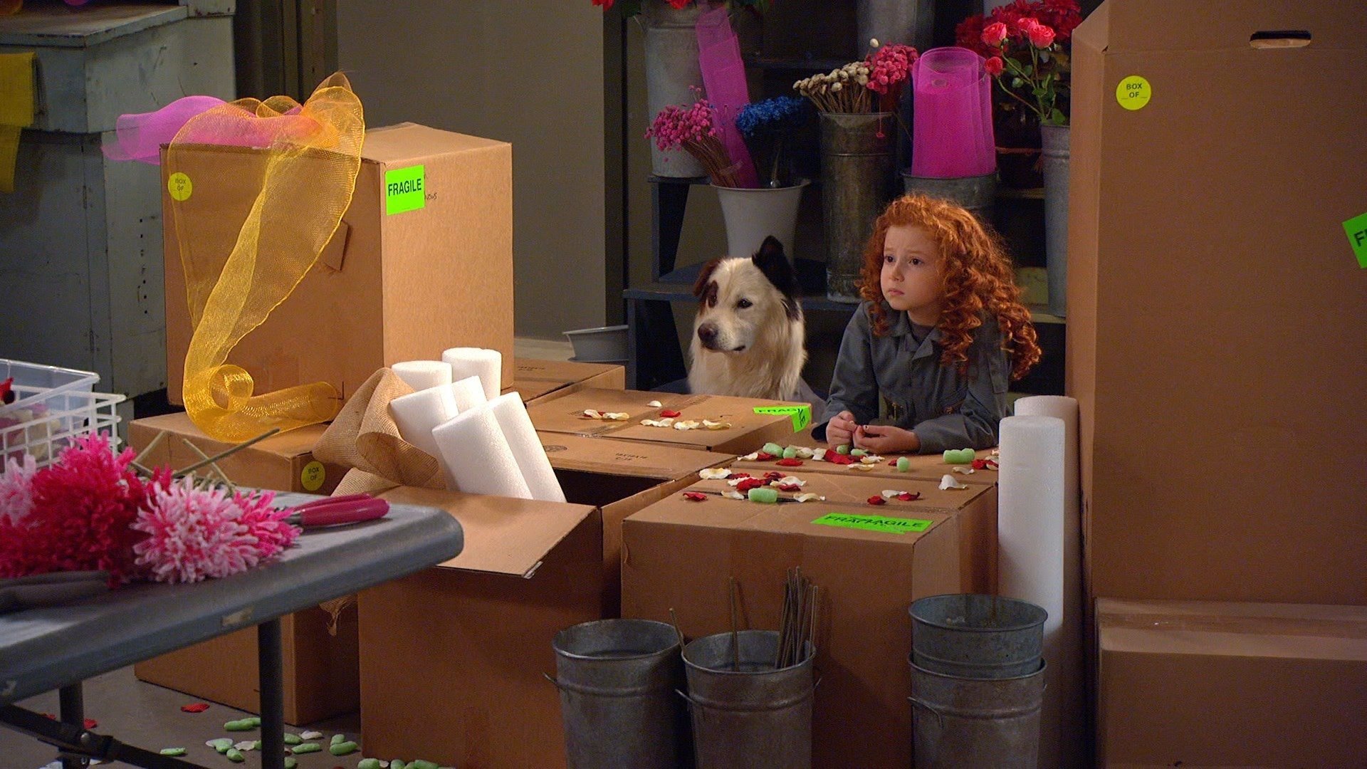 Dog with a Blog 2013  [S02E20] - Pod People from Pasadena