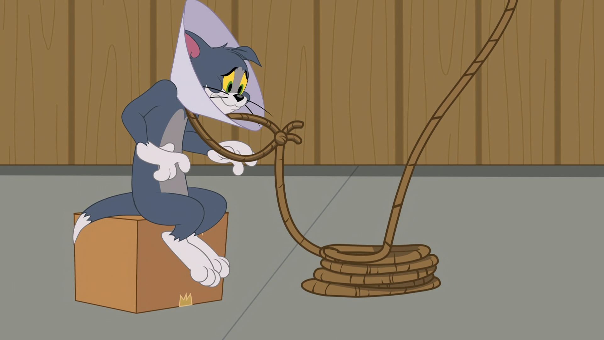 The Tom and Jerry Show 2016  [S02E63] - Funnel Face