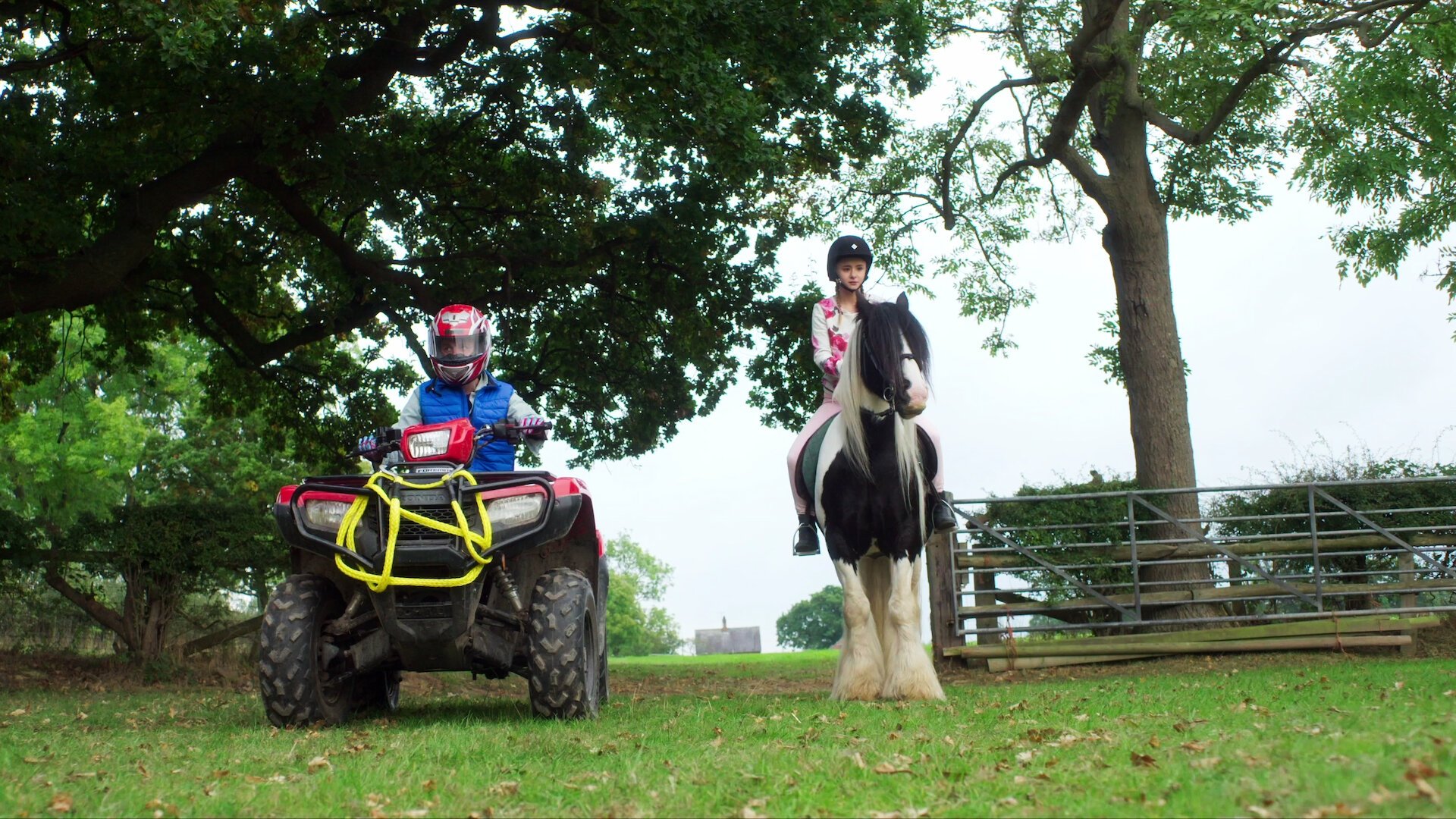 Free Rein 2017  [S01E06] - Horse Thief Hero