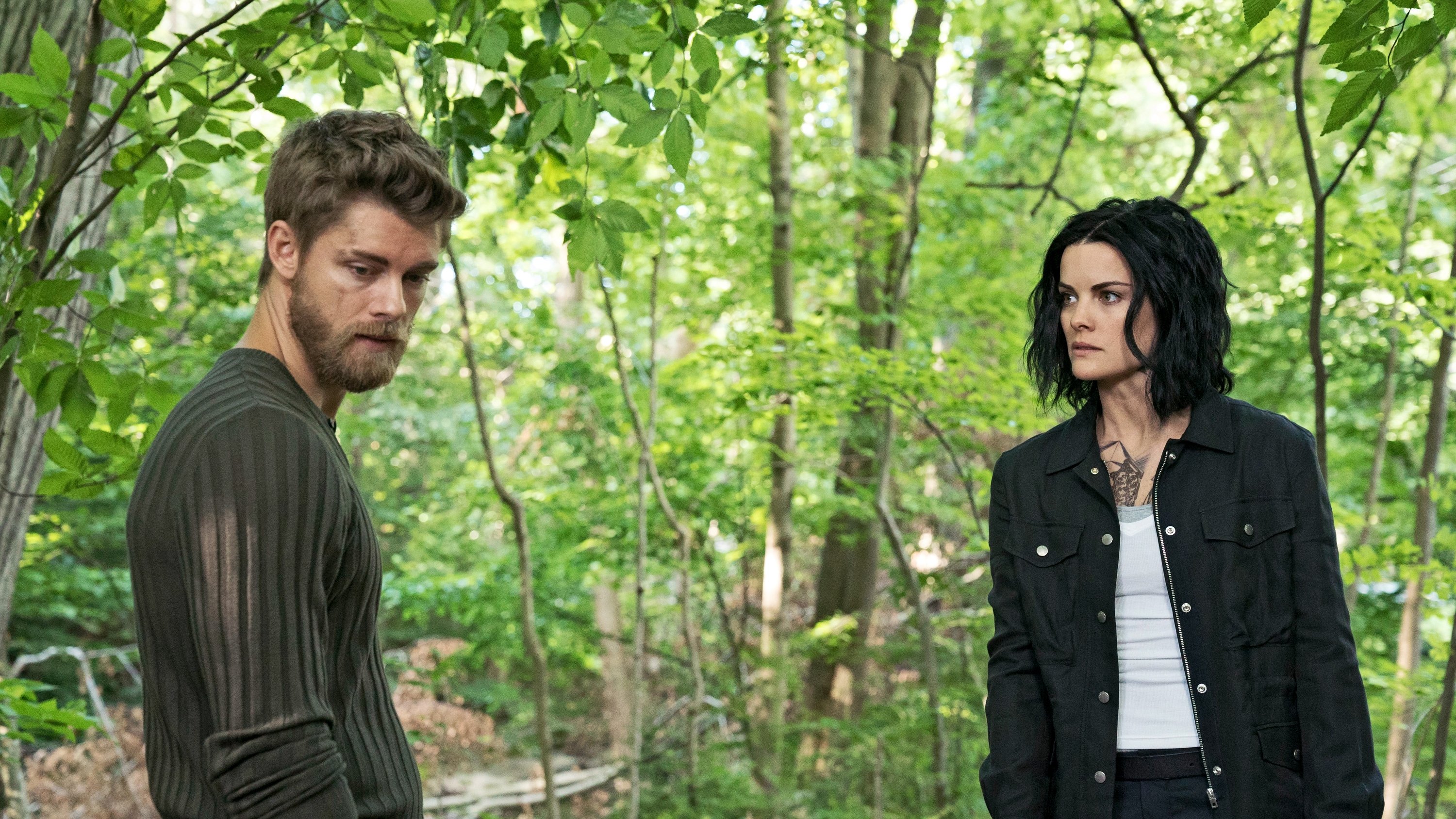 Blindspot 2016  [S02E03] - Hero Fears Imminent Rot