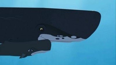 Wild Kratts 2010  [S01E02] - Whale of a Squid