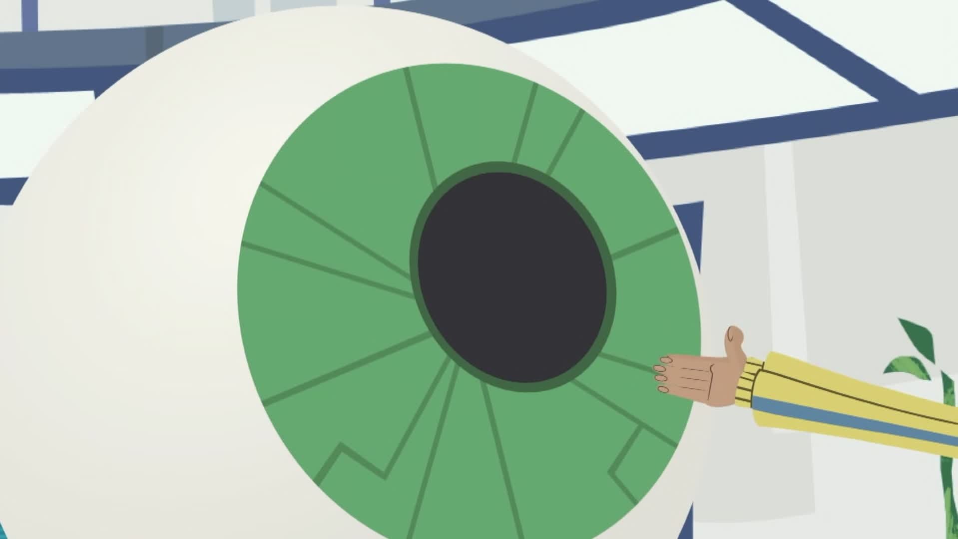 Wild Kratts 2010  [S01E39] - Googly-Eye: The Night Guru