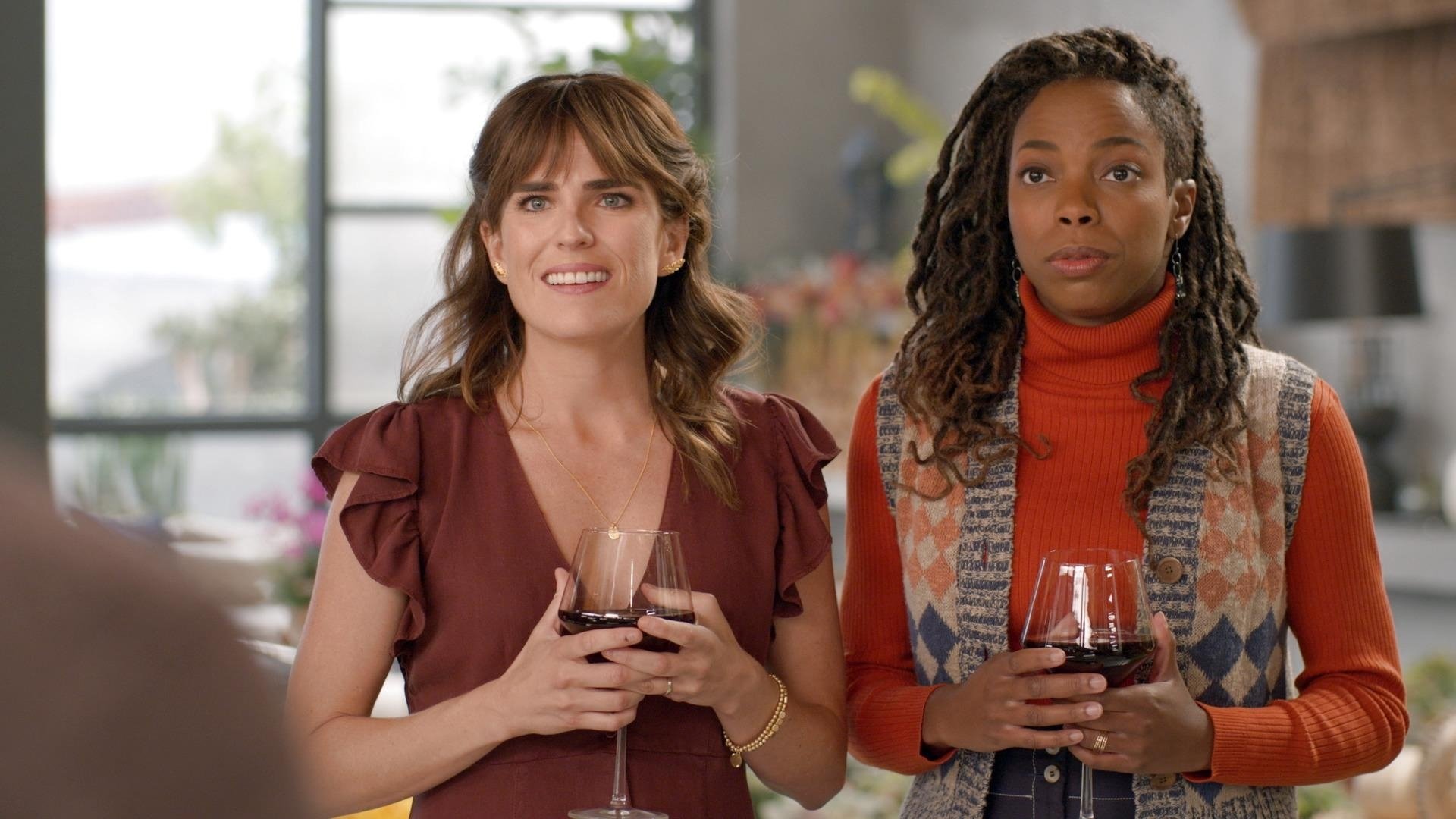 Home Economics 2022  [S03E08] - Wheel of Vegan Brie, $24