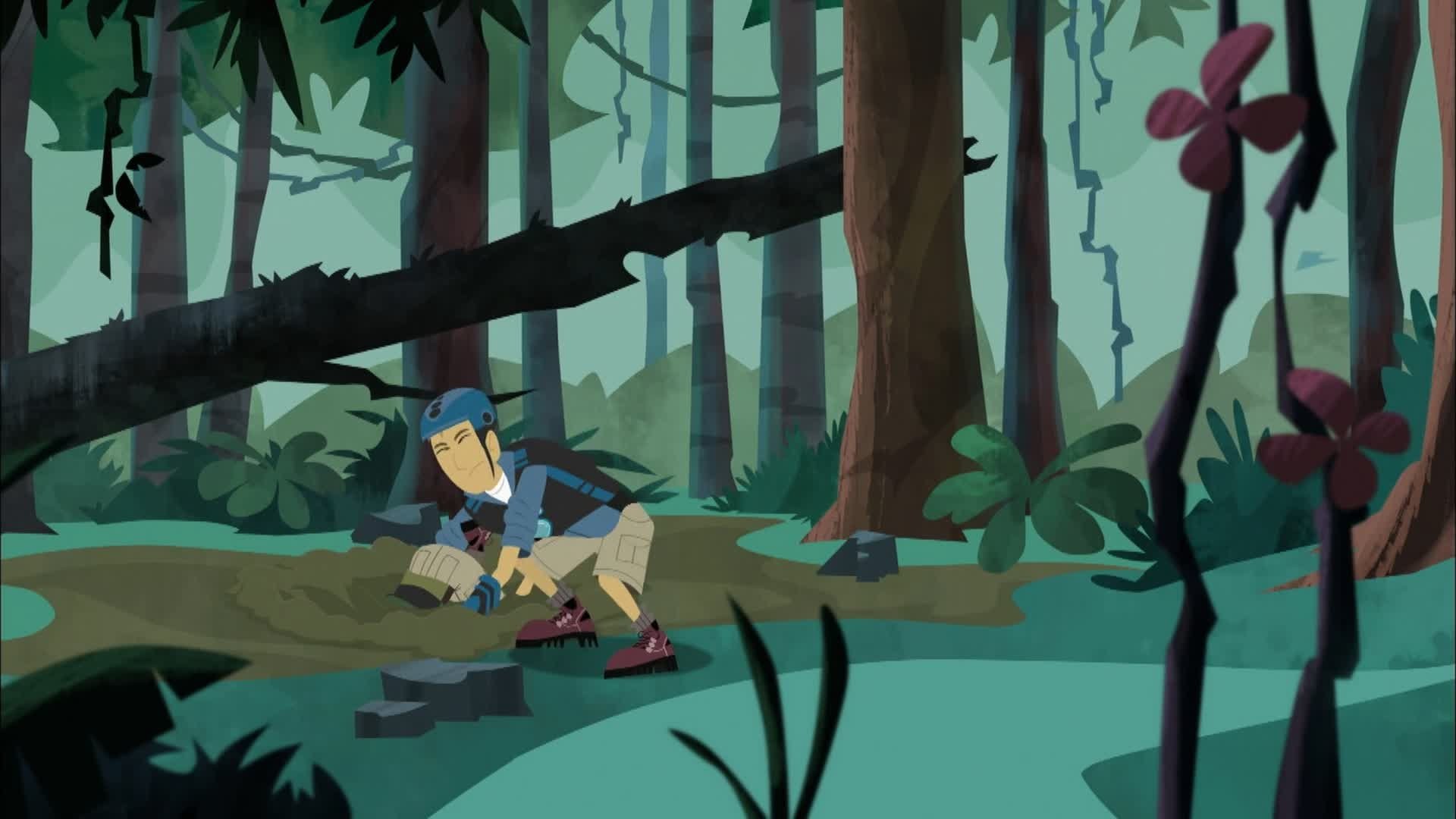 Wild Kratts 2010  [S01E04] - Flight of the Draco