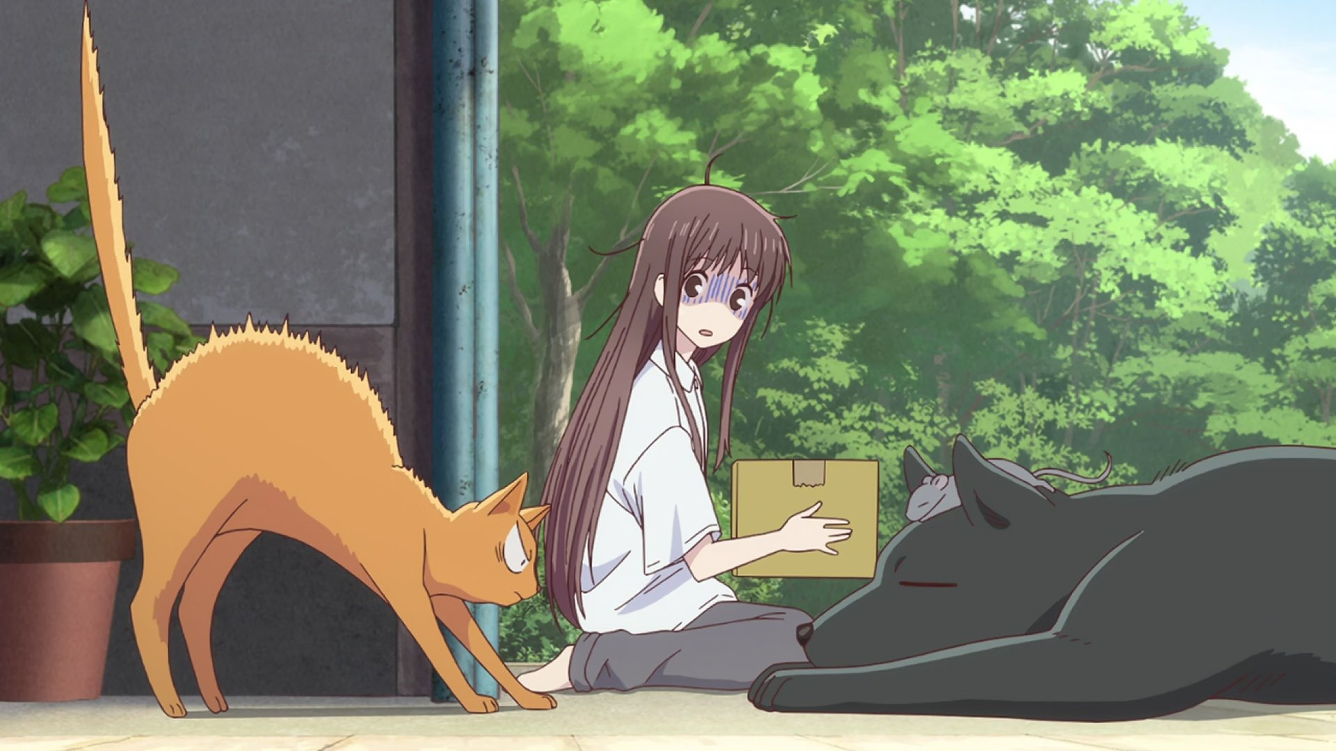 Fruits Basket 2019  [S01E02] - They're All Animals!