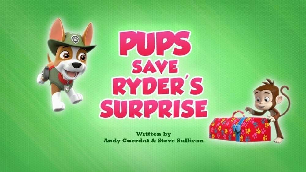 PAW Patrol 2020  [S07E20] - Pups Save Ryder's Surprise