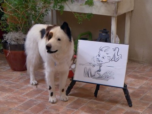 Dog with a Blog 2013  [S02E15] - Who's Training Who?