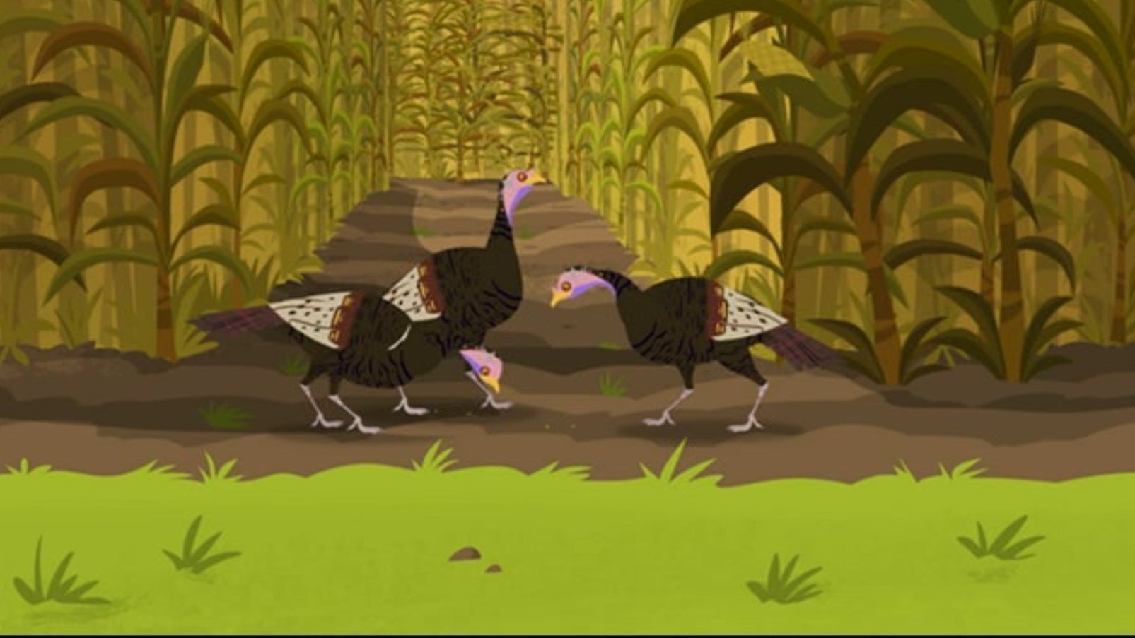 Wild Kratts 2012  [S02E06] - Happy Turkey Day