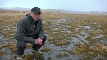Pirate Gold of Adak Island 2022  [S01E01] - The Pirate’s Gambit