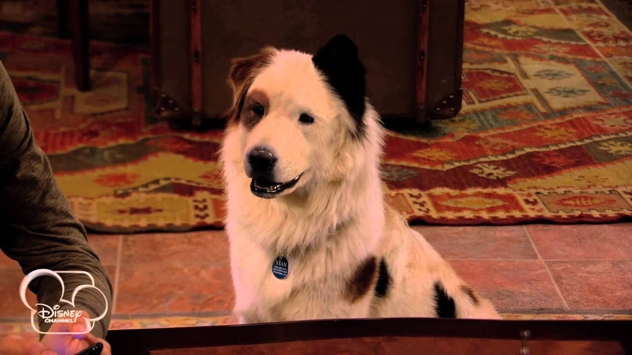 Dog with a Blog 2012  [S01E19] - Stan Talks to Gran