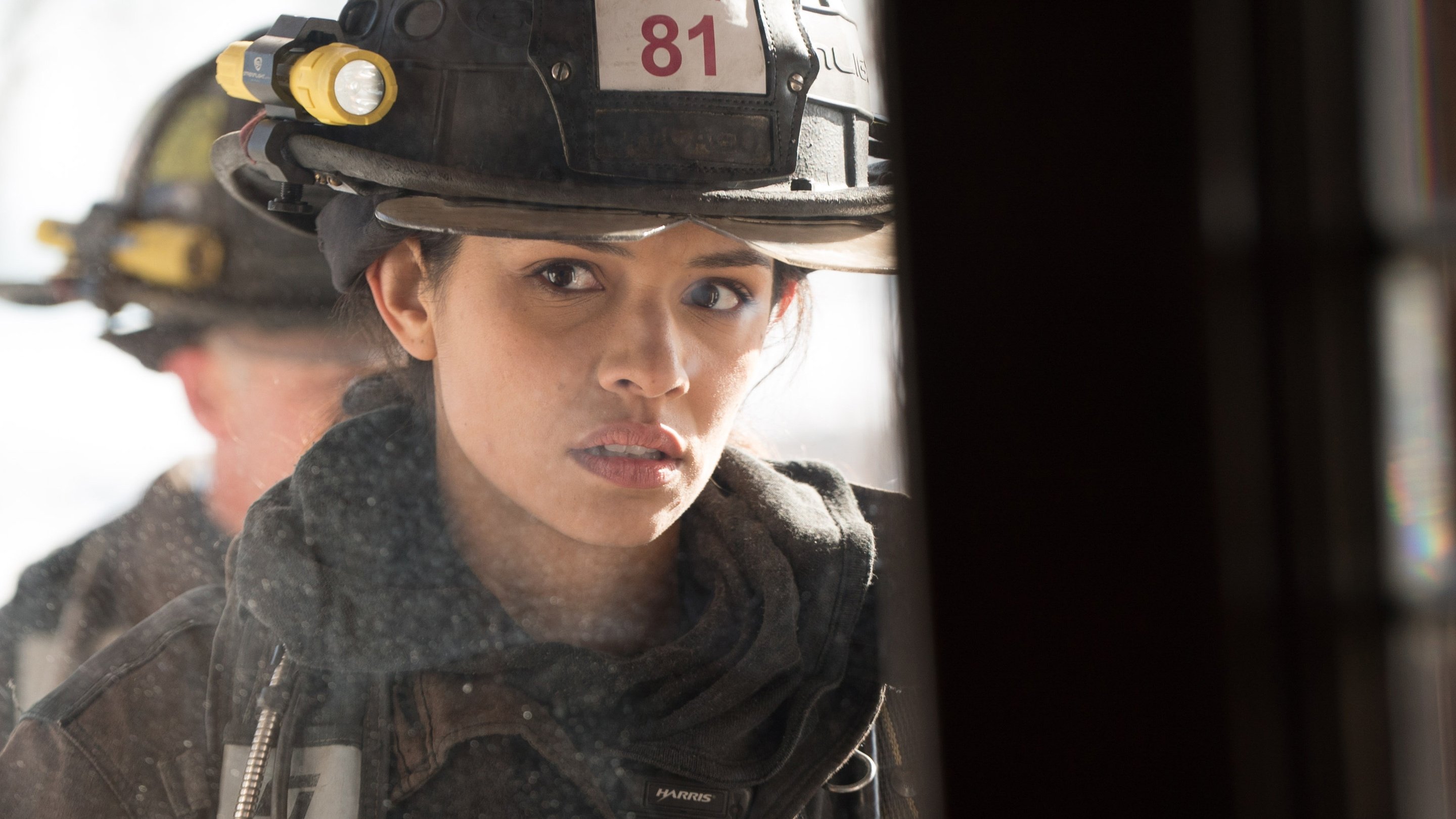 Chicago Fire 2015  [S04E17] - What Happened to Courtney