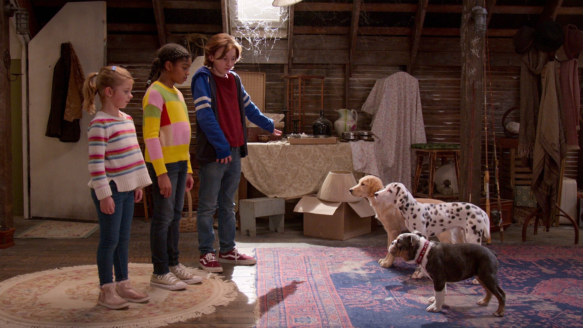 Phantom Pups 2022  [S01E04] - Phantom Phoam