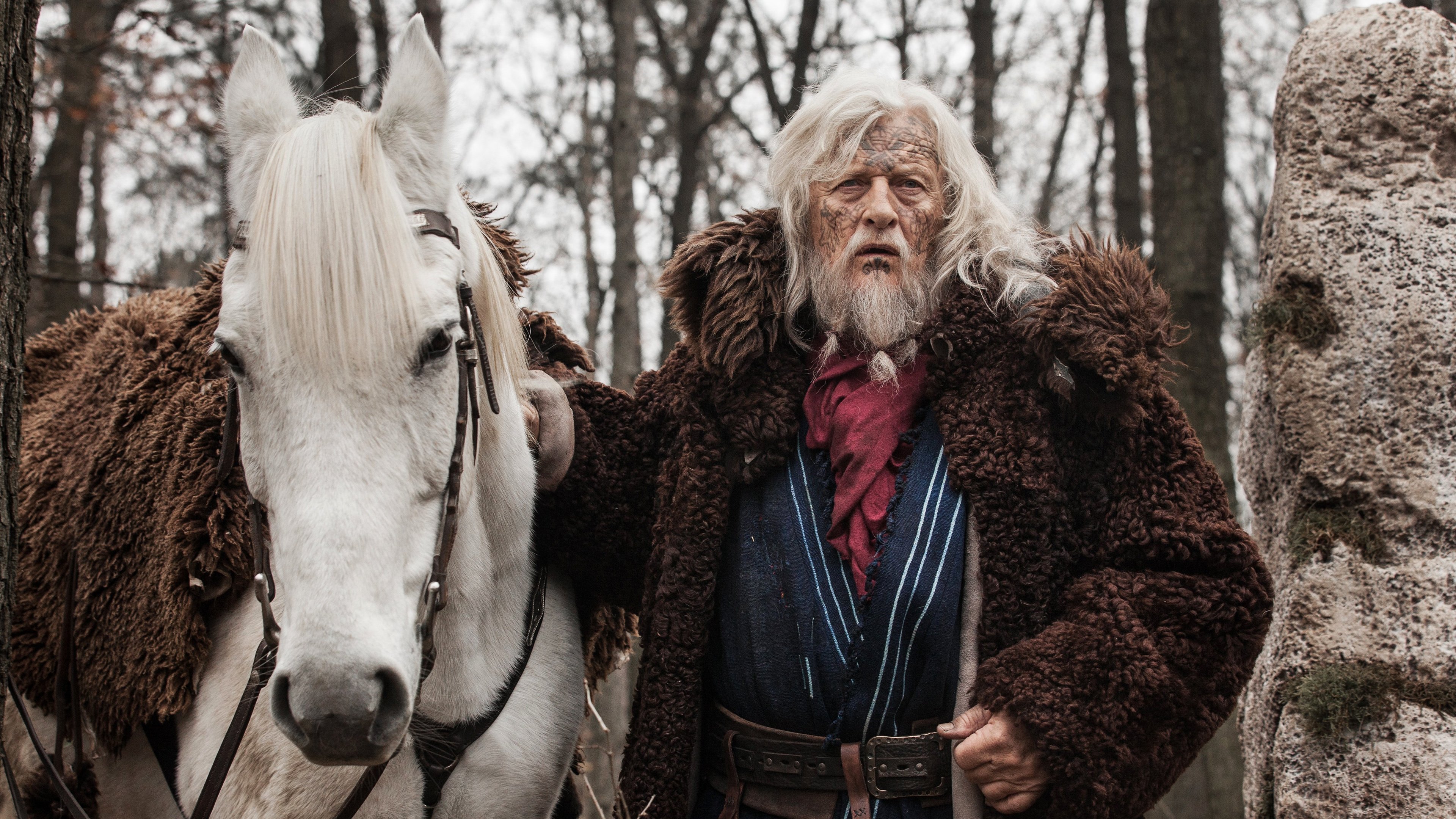 The Last Kingdom 2015  [S01E01] - Episode 1