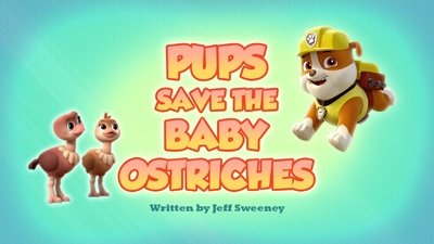 PAW Patrol 2019  [S06E12] - Pups Save the Baby Ostriches