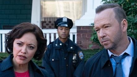 Blue Bloods 2019  [S10E06] - Glass Houses