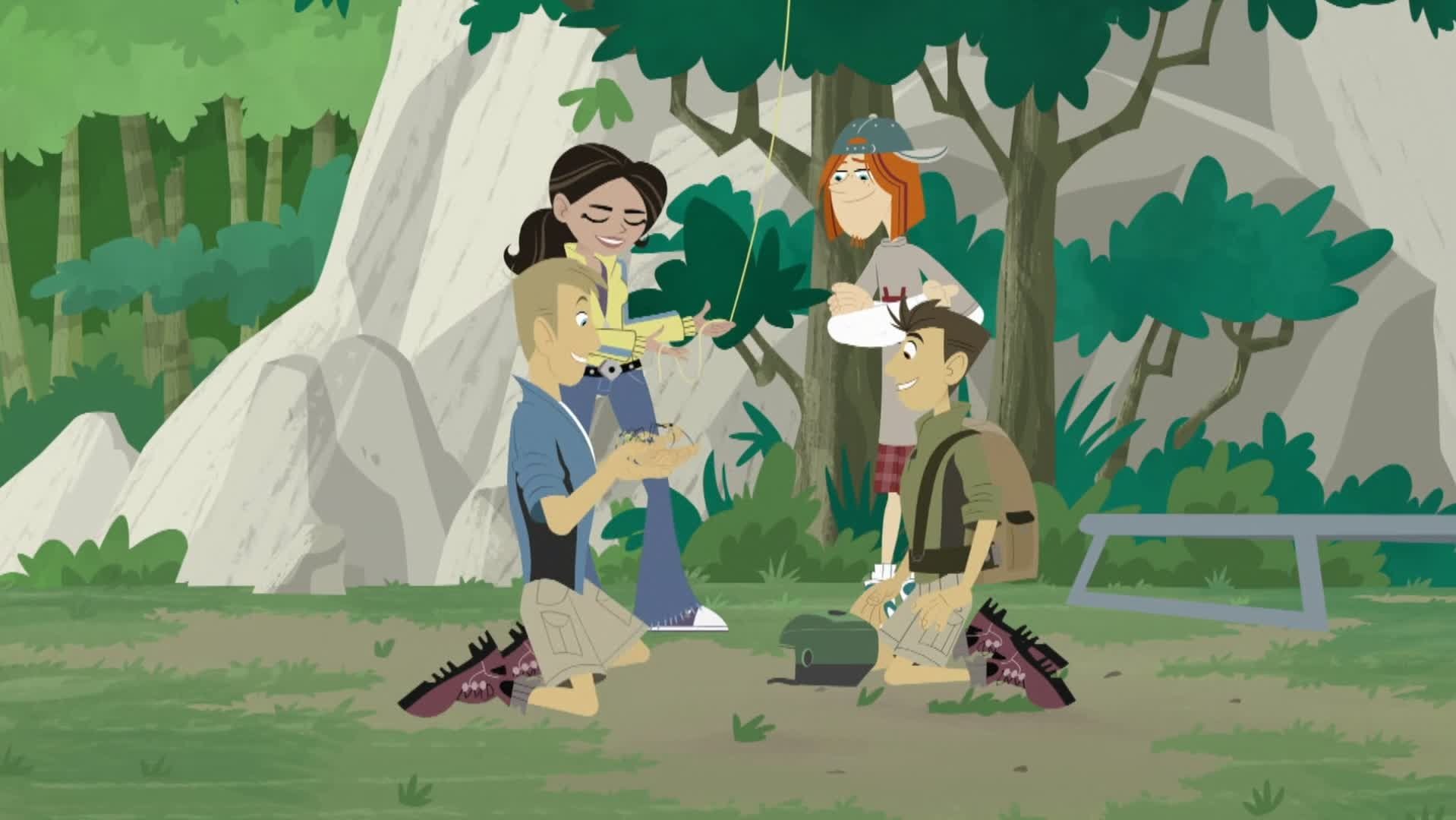 Wild Kratts 2012  [S02E05] - Secrets of the Spider's Web