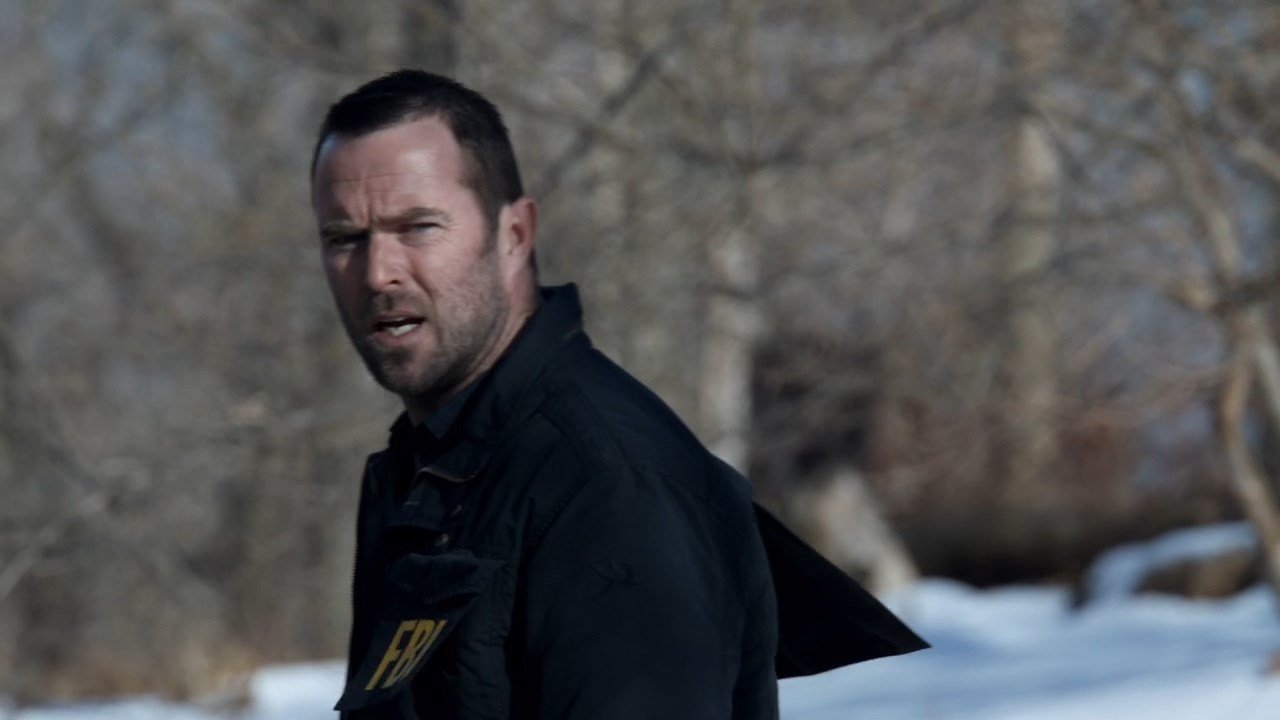 Blindspot 2015  [S01E16] - Any Wounded Thief