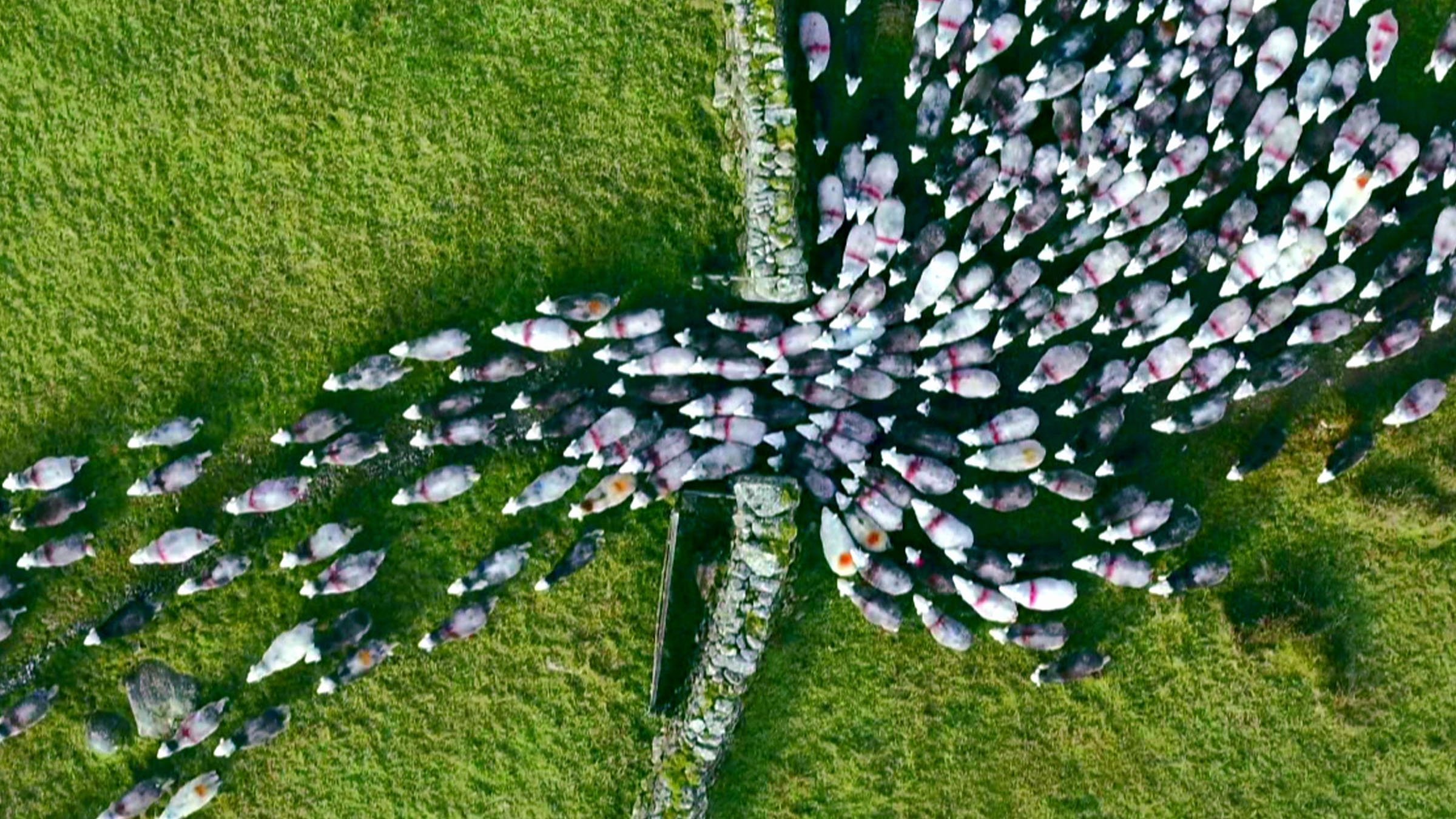 Europe from Above 2019  [S01E04] - United Kingdom