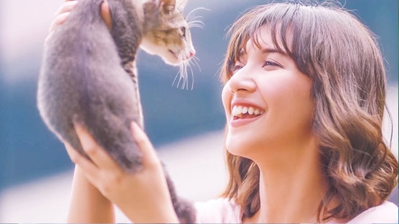 Sunshine 2018  [S01E01] - Episode 1
