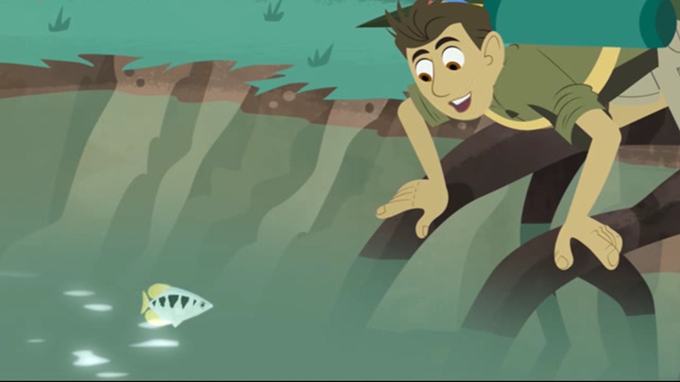 Wild Kratts 2016  [S04E20] - Archerfish School