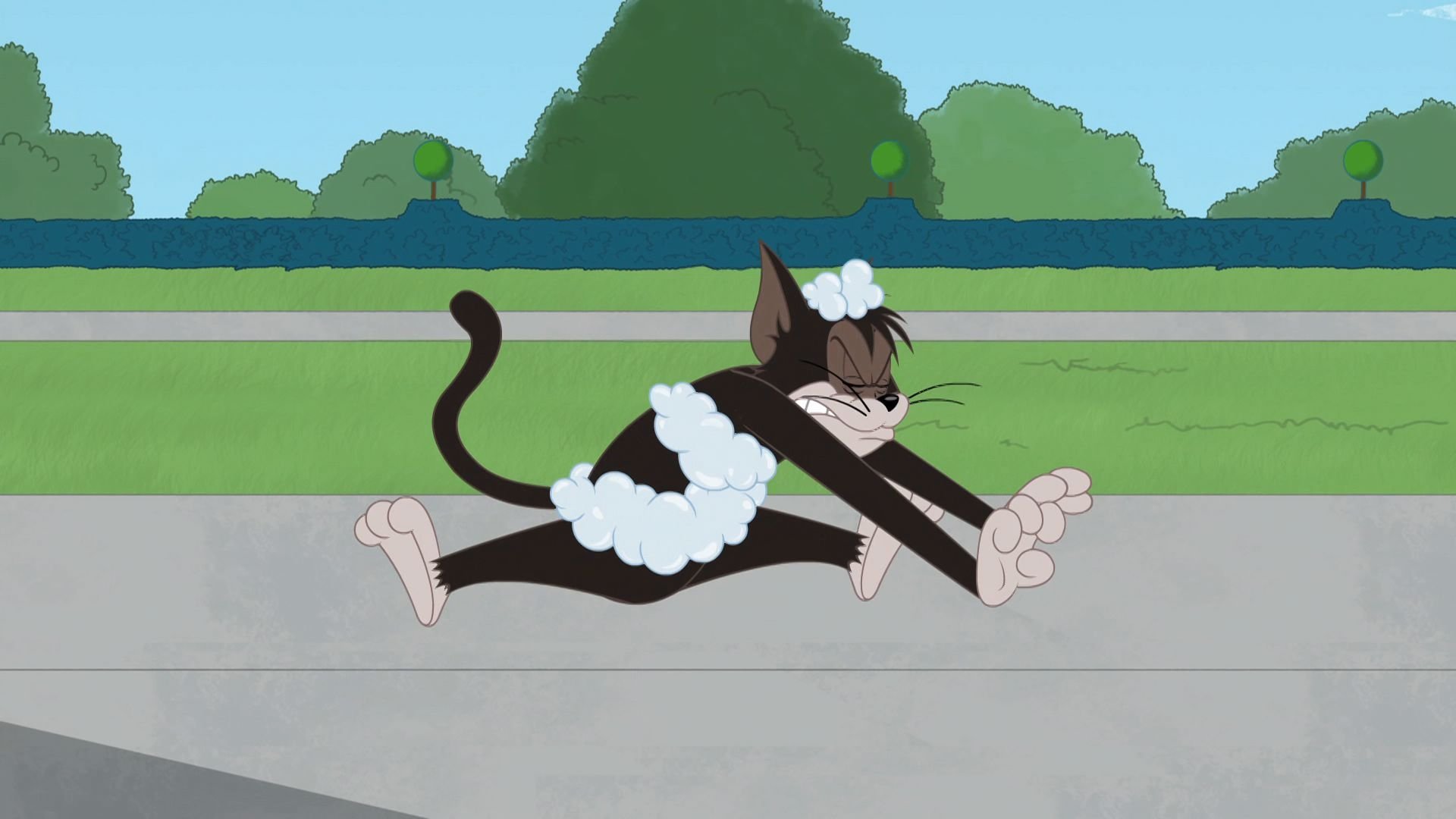 The Tom and Jerry Show 2016  [S02E30] - Flea Bitten