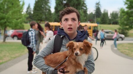 The Healing Powers of Dude 2020  [S01E01] - Second Step: Homeroom