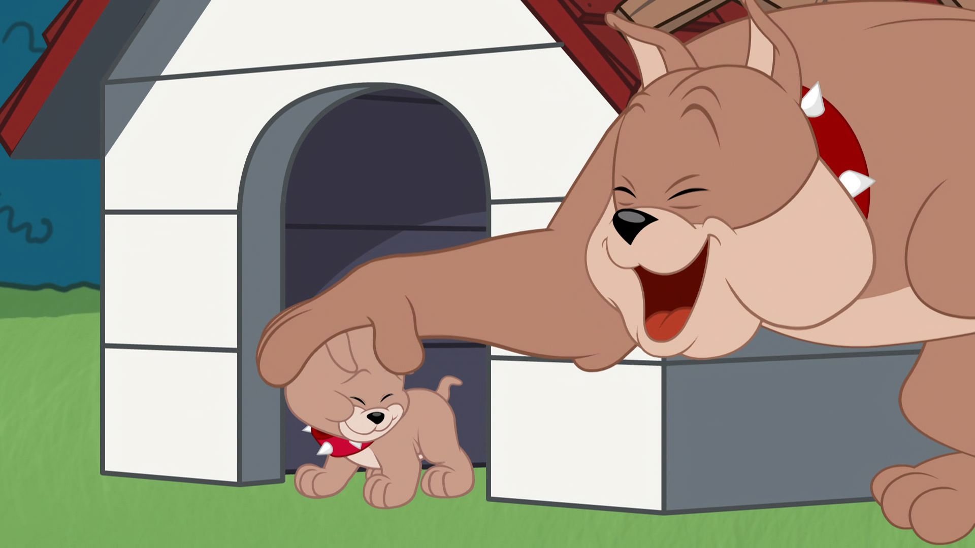 The Tom and Jerry Show 2016  [S02E04] - Slinging in the Rain