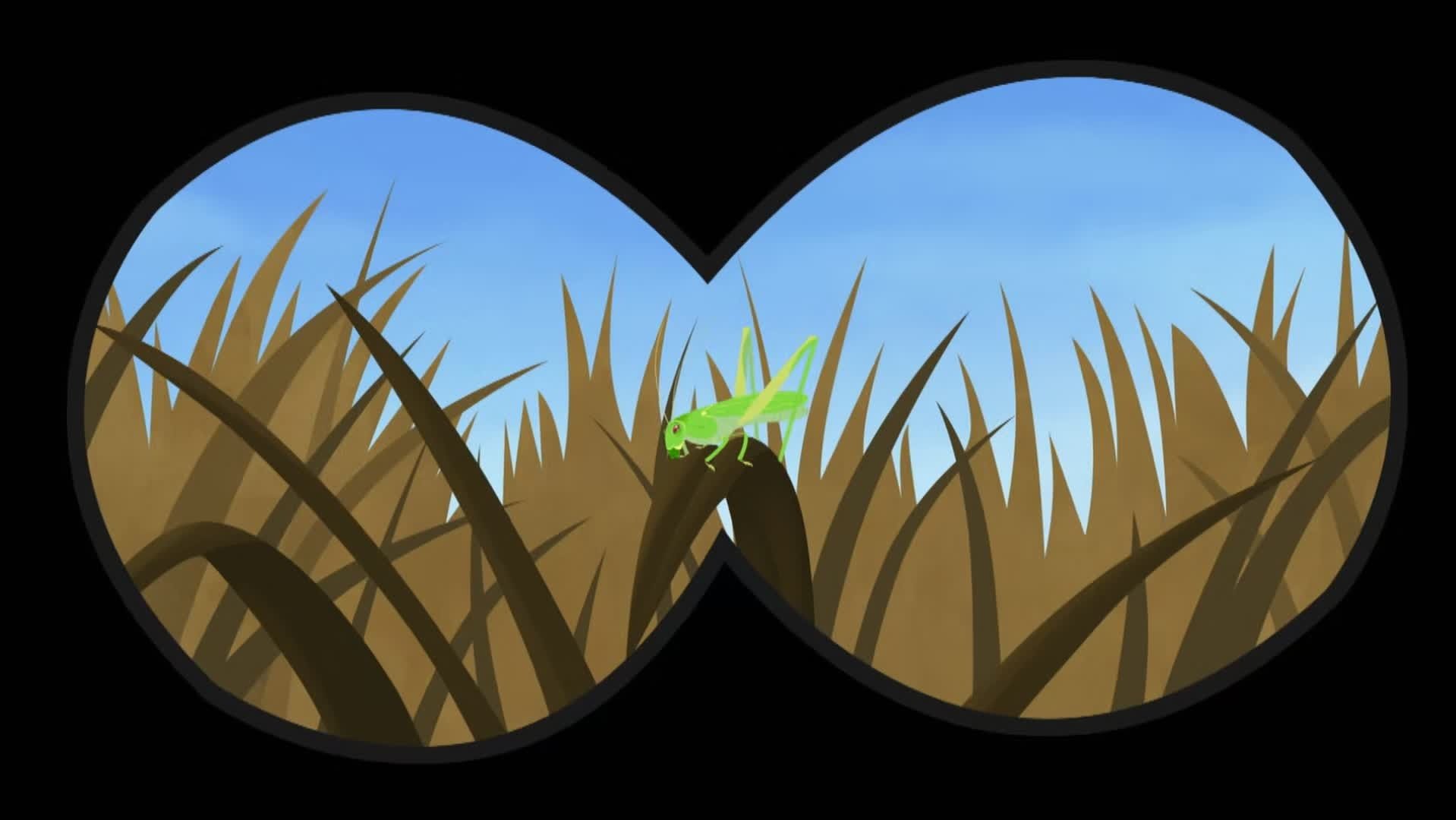 Wild Kratts 2010  [S01E31] - The Food Chain Game