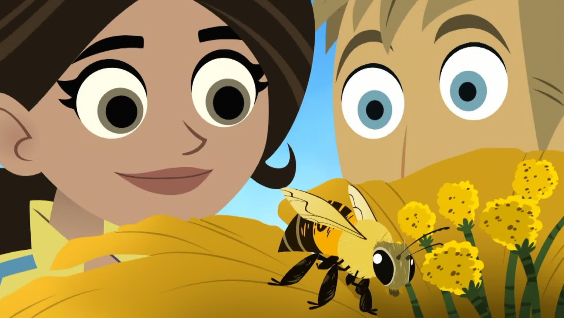 Wild Kratts 2010  [S01E32] - Flight of the Pollinators