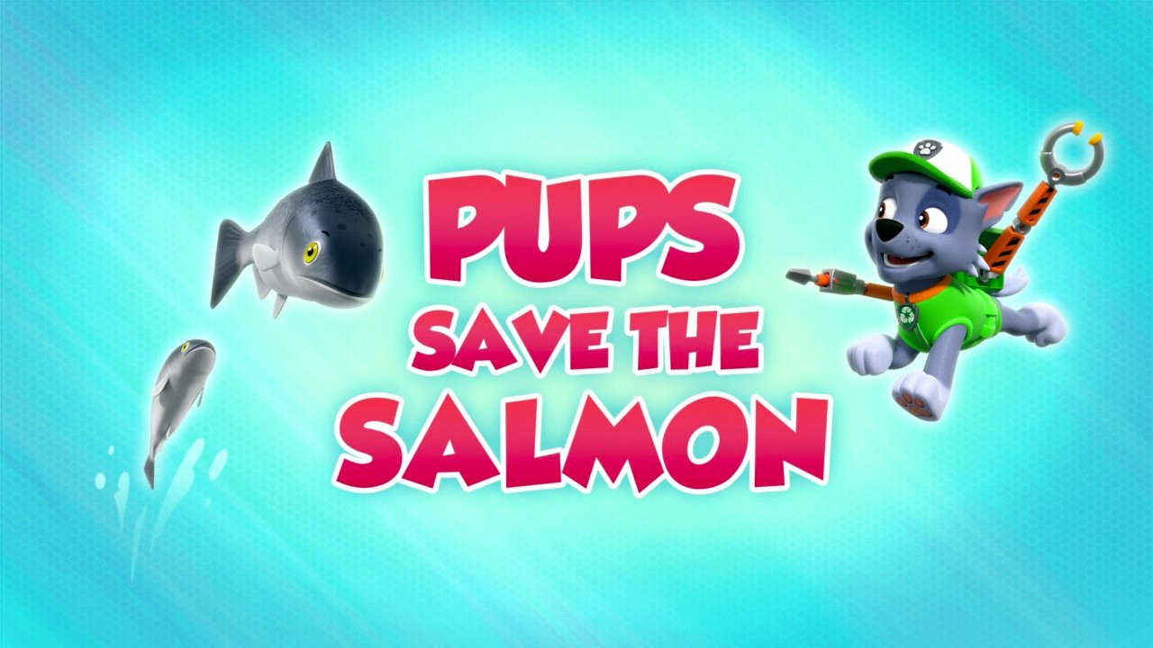 PAW Patrol 2021  [S08E17] - Pups Save the Salmon