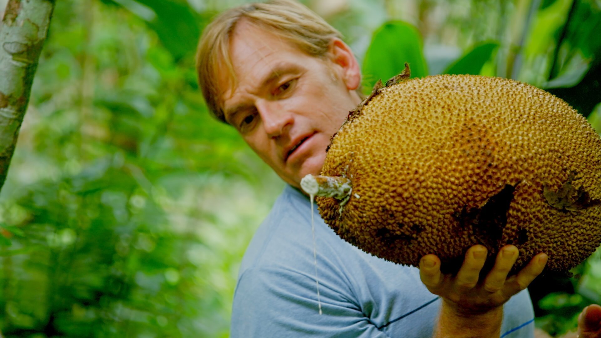 Down to Earth with Zac Efron 2020  [S01E03] - Costa Rica
