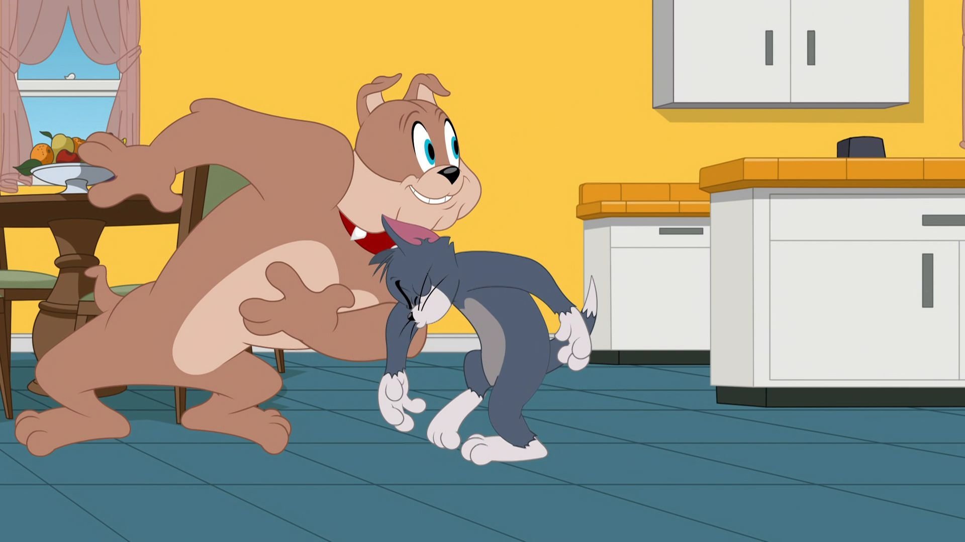 The Tom and Jerry Show 2016  [S02E13] - Slap Happy Birthday