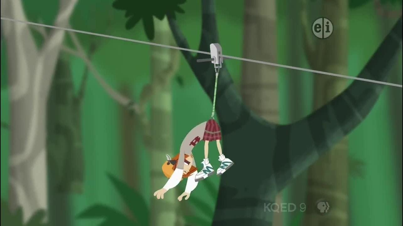 Wild Kratts 2014  [S03E22] - Tenrec Treasure Hunt